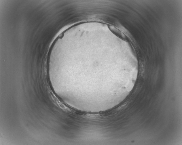 X0000078841052200612041834