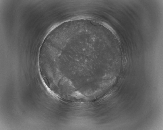 X0000078841055200612041834