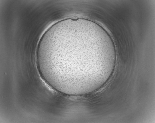 X0000078841056200612041834