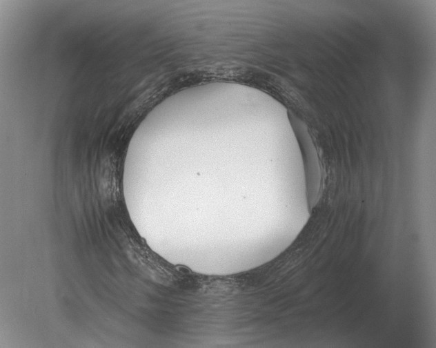 X0000078841058200612041833