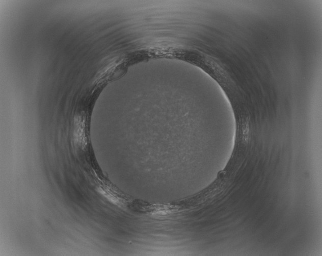 X0000078841060200612041833