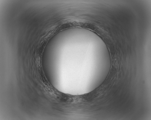 X0000078841061200612041833