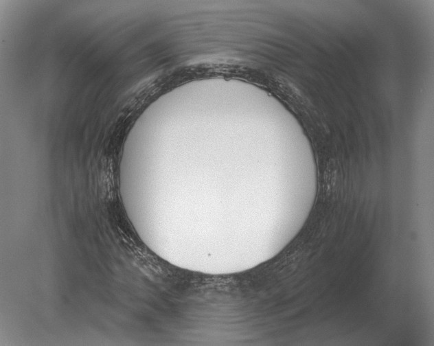 X0000078841062200612041833