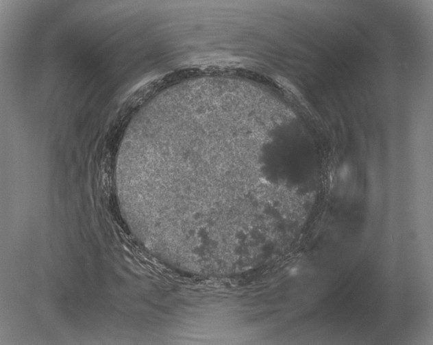 X0000078841063200612041833