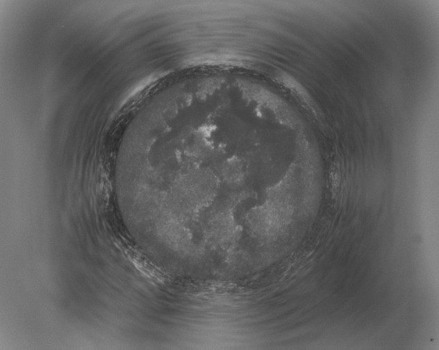 X0000078841064200612041833