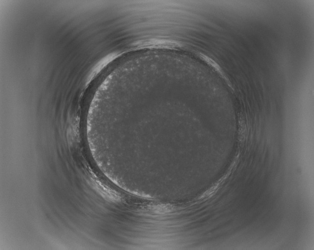 X0000078841066200612041833