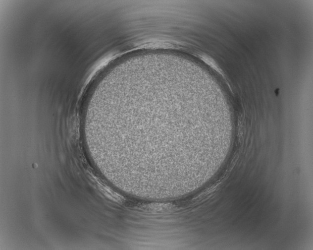 X0000078841067200612041833