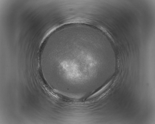 X0000078841069200612041833