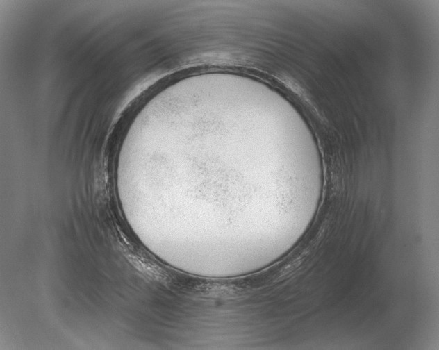 X0000078841070200612041833