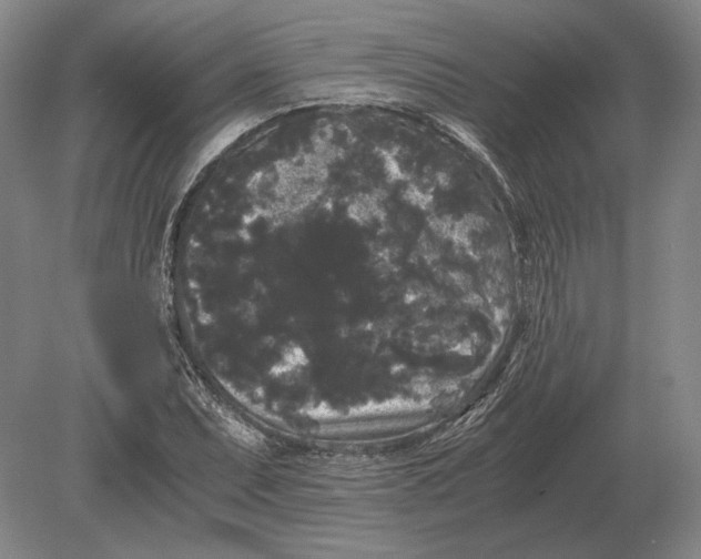 X0000078841071200612041833