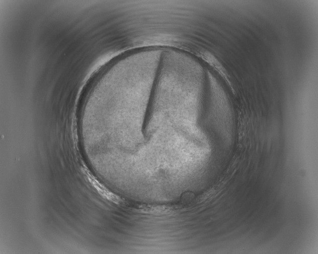 X0000078841072200612041833