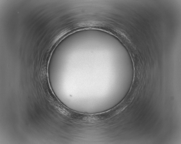 X0000078841073200612041833