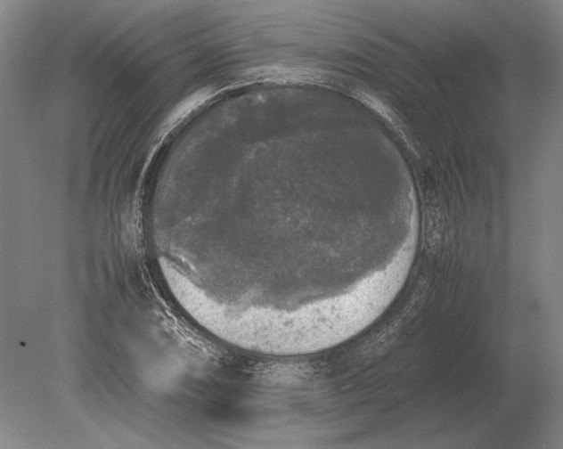 X0000078841074200612041833