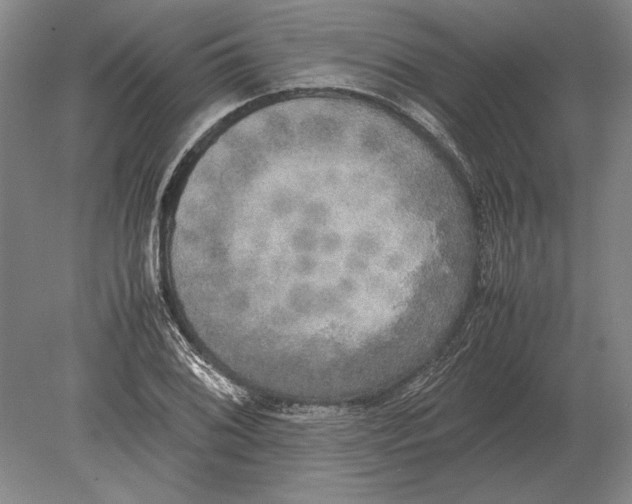 X0000078841076200612041833