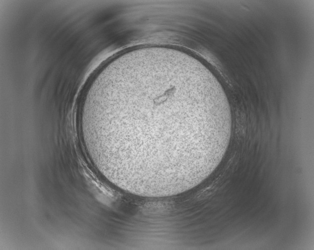 X0000078841078200612041833