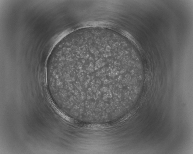 X0000078841079200612041833