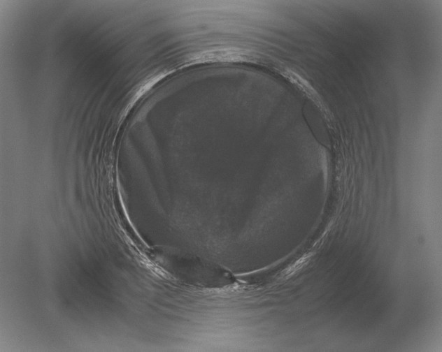 X0000078841081200612041833