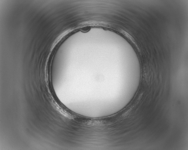 X0000078841082200612041833