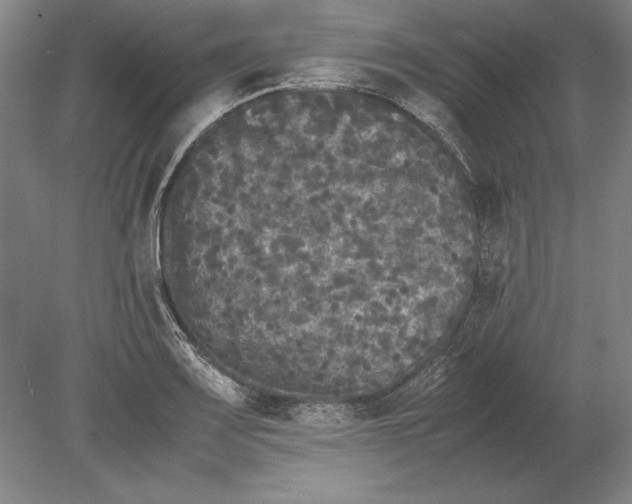 X0000078841083200612041833