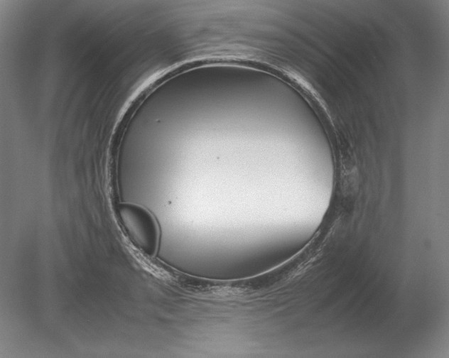 X0000078841085200612041833