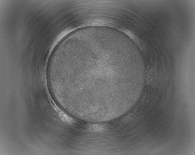 X0000078841086200612041833