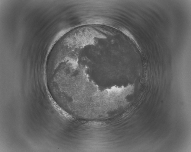 X0000078841088200612041833