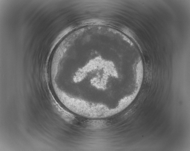 X0000078841090200612041833