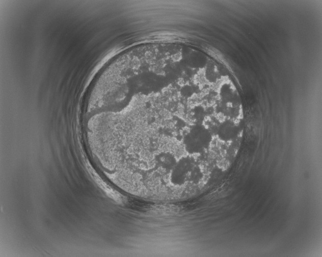 X0000078841091200612041833