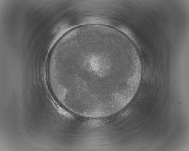 X0000078841094200612041833