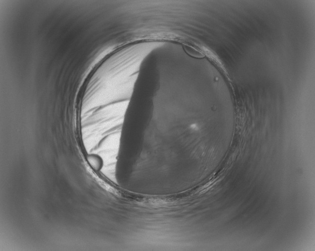 X0000078841095200612041833