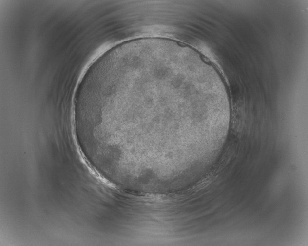 X0000078841096200612041833