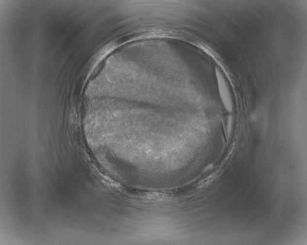 X0000078841097200612041833