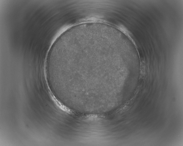 X0000078841098200612041833