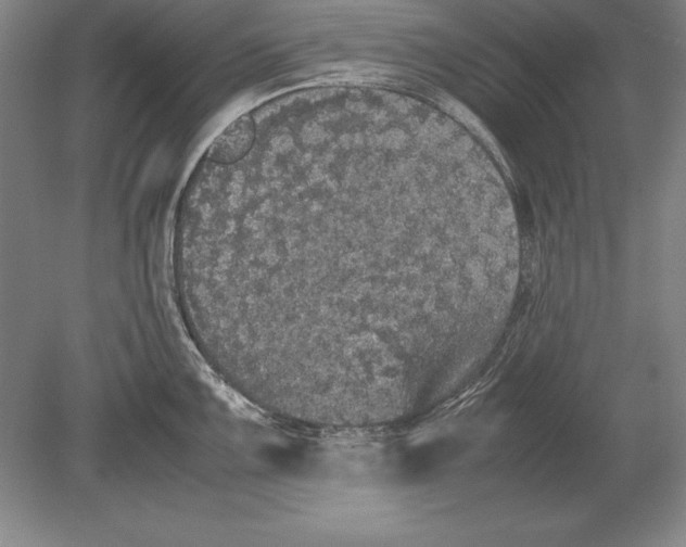 X0000078841099200612041833