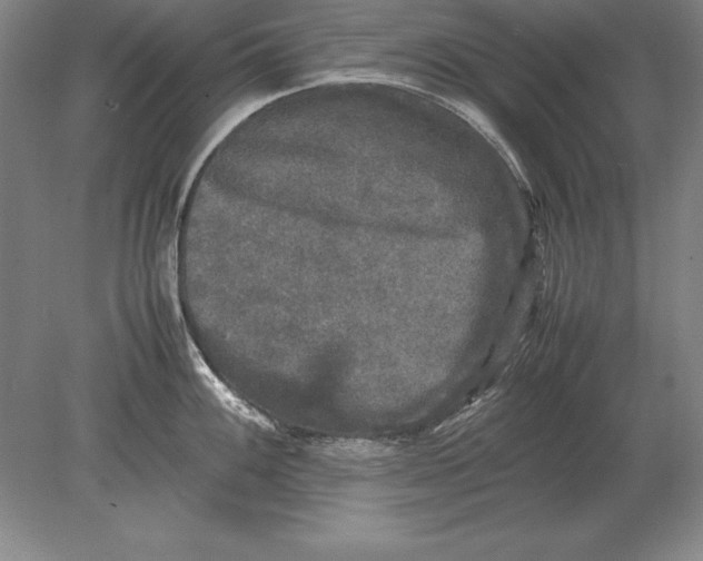 X0000078841100200612041833