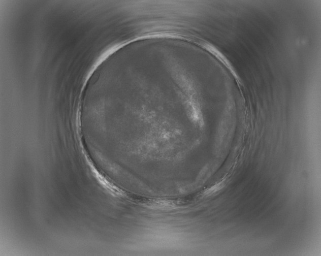 X0000078841101200612041833