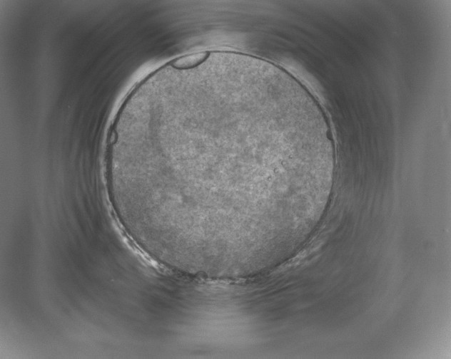 X0000078841104200612041833