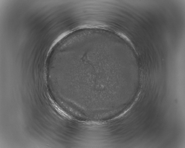 X0000078841114200612041832