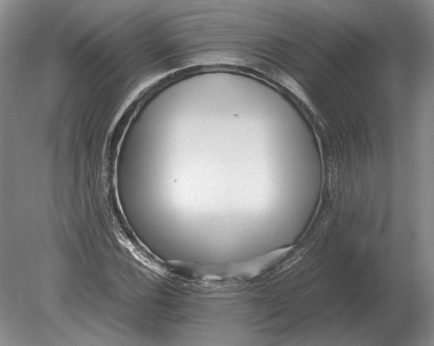 X0000078841116200612041832