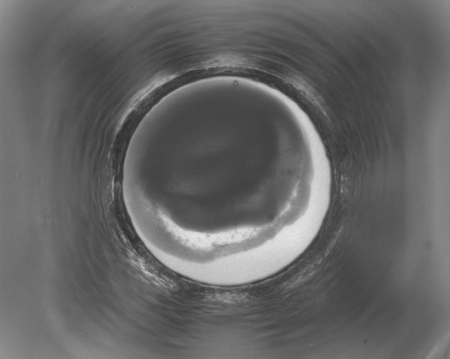 X0000078841117200612041832