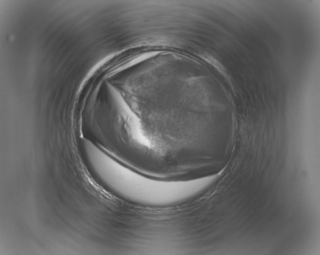 X0000078841120200612041832