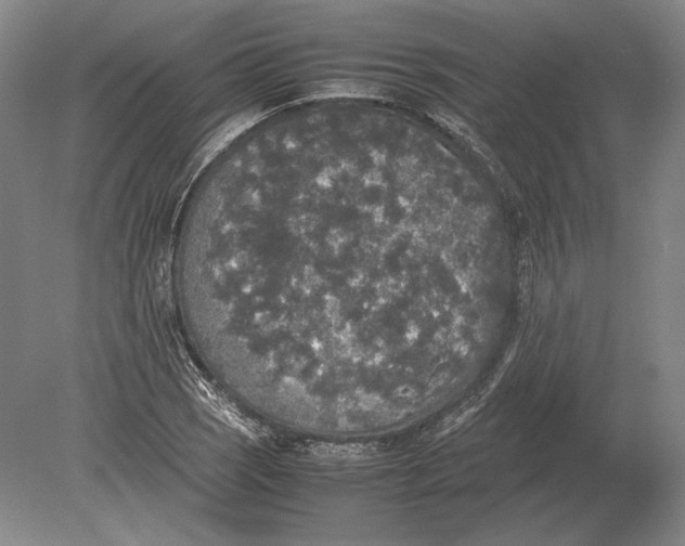 X0000078841121200612041832