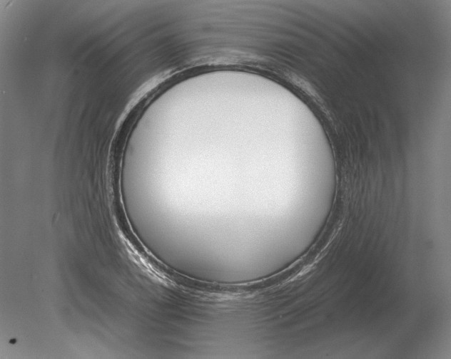 X0000078841122200612041832