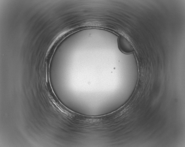 X0000078841123200612041832