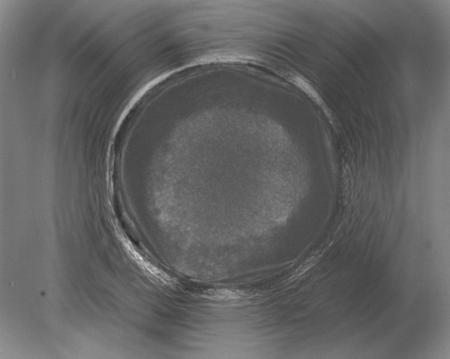 X0000078841124200612041832