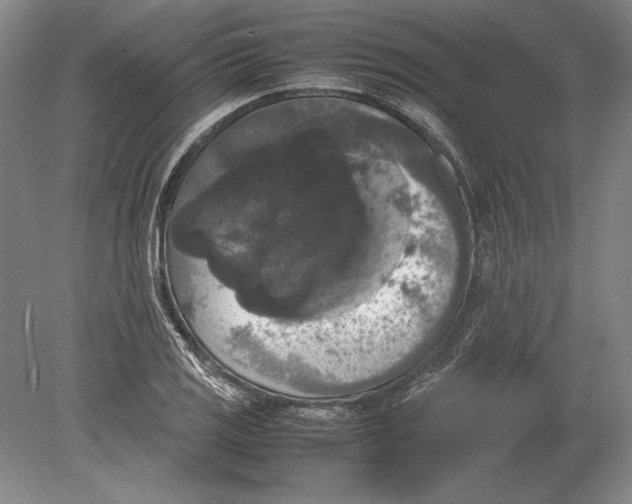 X0000078841125200612041832