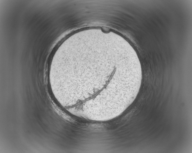 X0000078841126200612041832