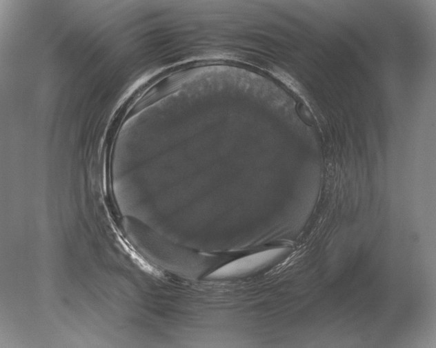 X0000078841127200612041832