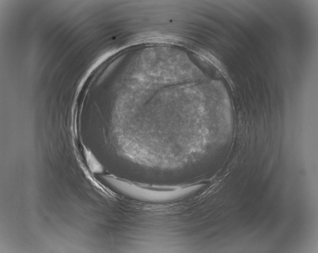 X0000078841128200612041832