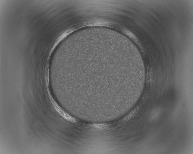 X0000078841130200612041832